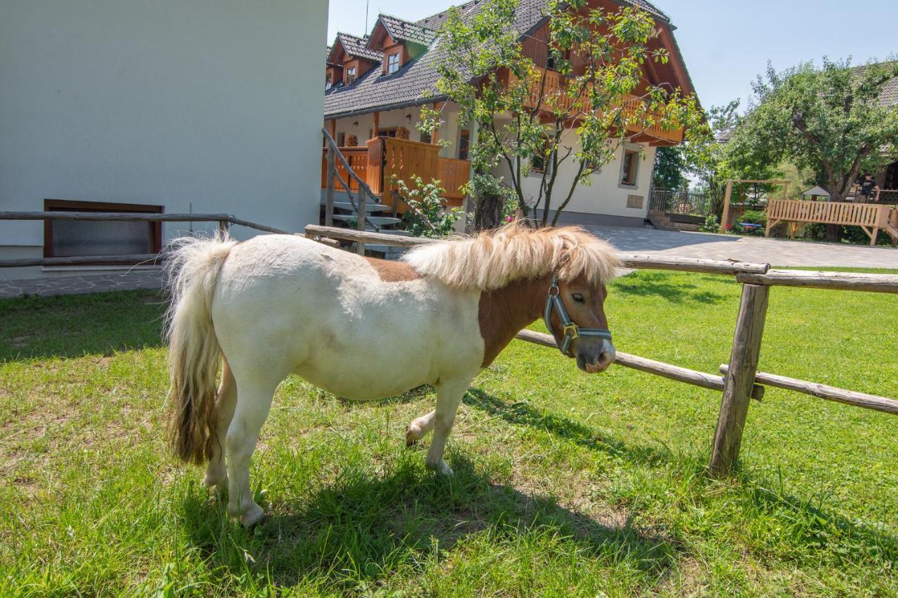 Tourist Farm "Pri Biscu" Villa Блед Екстериор снимка