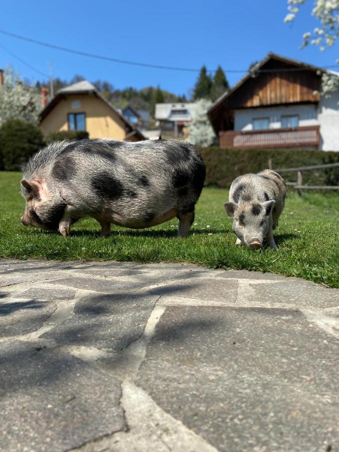 Tourist Farm "Pri Biscu" Villa Блед Екстериор снимка